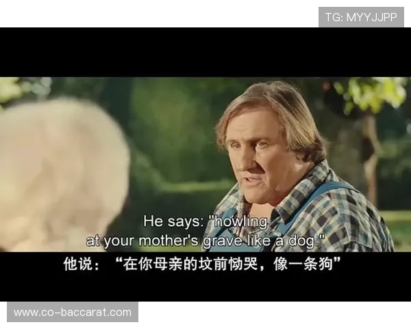 《在虚拟世界中携手冒险两颗心的碰撞与共鸣》