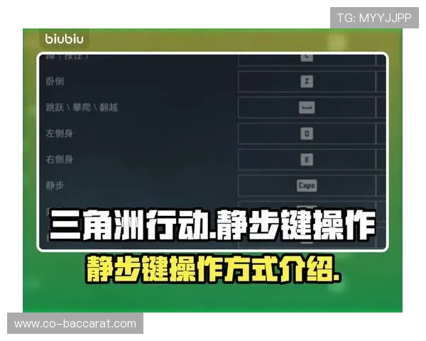 三角洲游戏按键与设置差异分析及优化建议