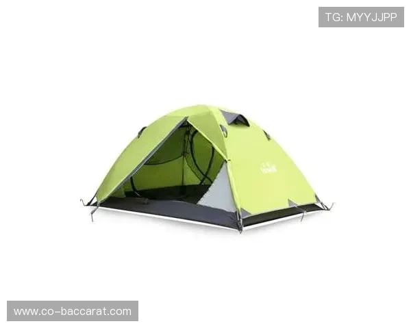 全新设计防暴雨户外露营帐篷兼游戏屋防护功能提升体验